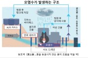 여수시민이 만든 후쿠시마 핵폐수 해양 투기 10문 10답